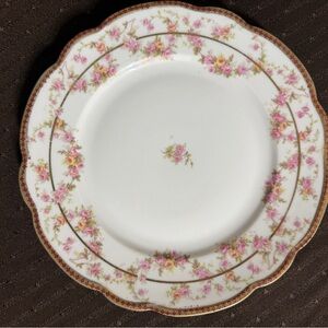 Antique Floral Porcelain Dinner Plate